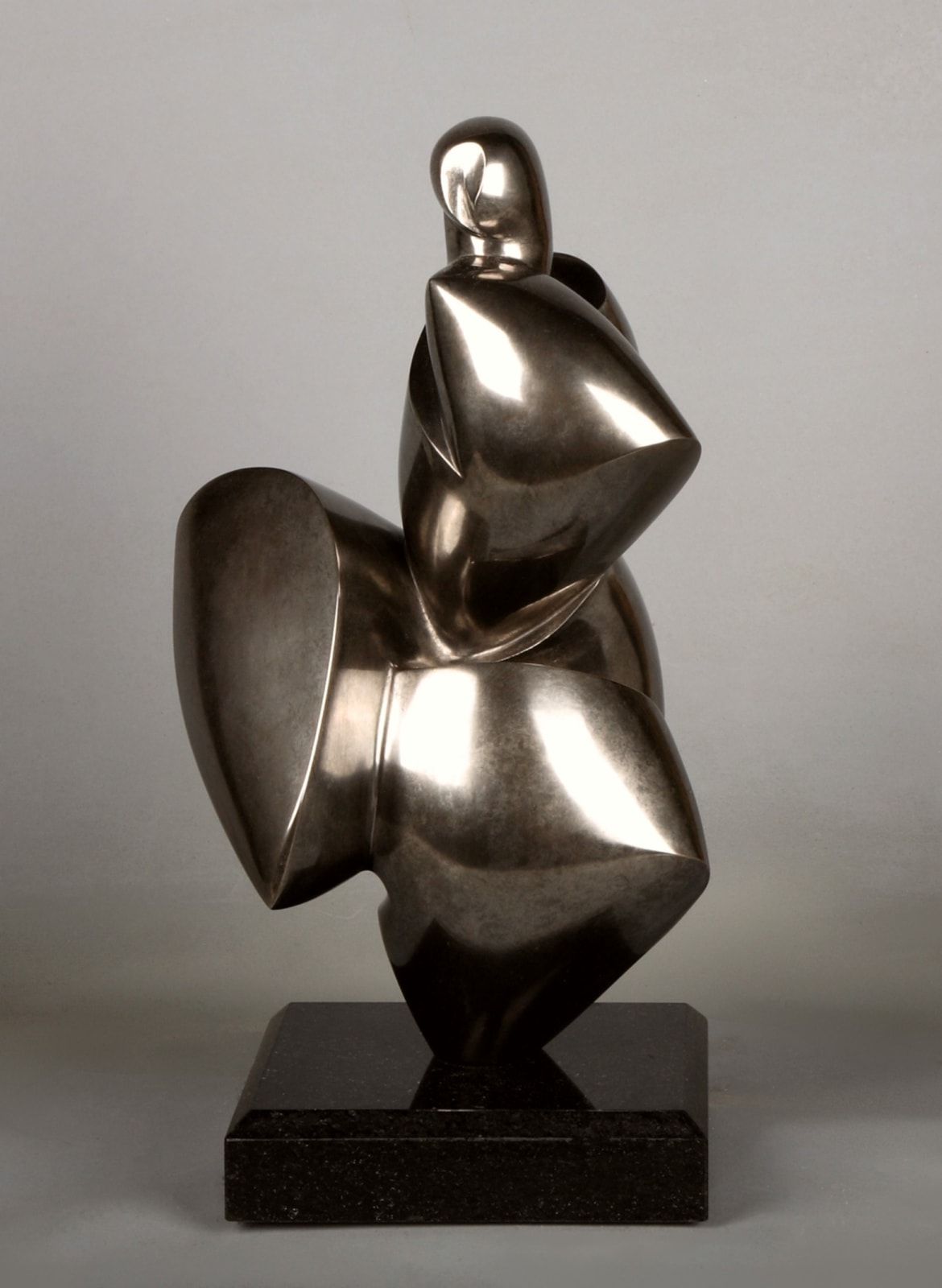 Dominique Pollès, ZIBLINA (1/1), 2008/1013