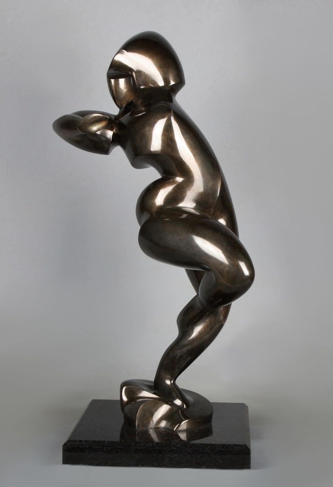 Dominique Pollès, EXTALIOSA (3/4), 2010/2011