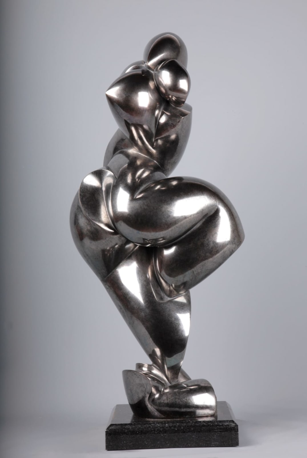 Dominique Pollès, Paloma 2/4, 2017