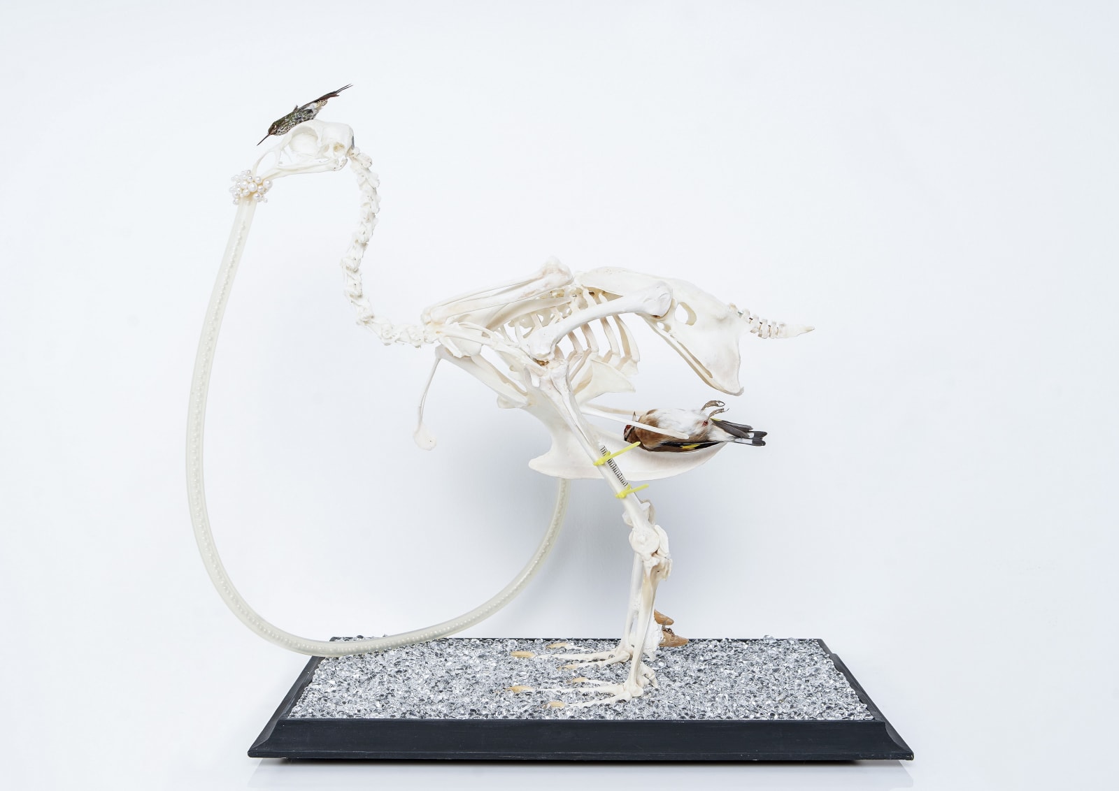 Ted Noten, The Bird, 2020
