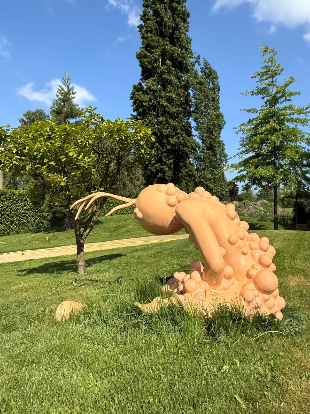 Spacecowboys, Rotjong, 2007