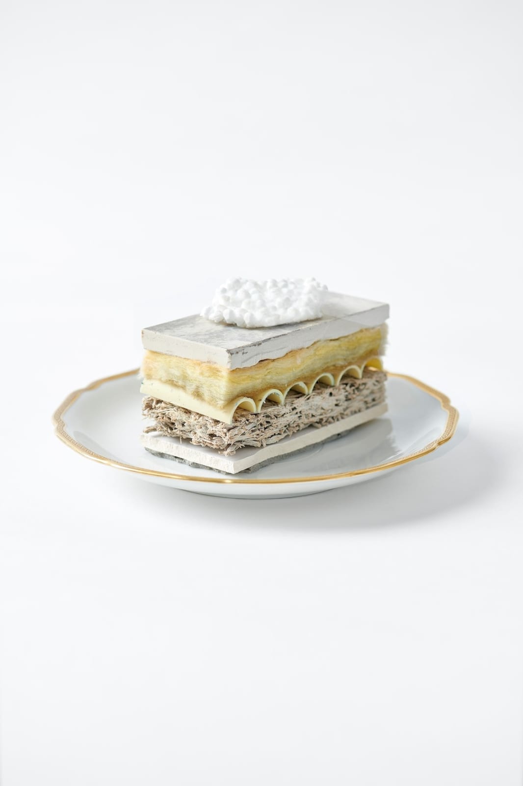 Diederik Schneemann, Rubdish Tom pousse