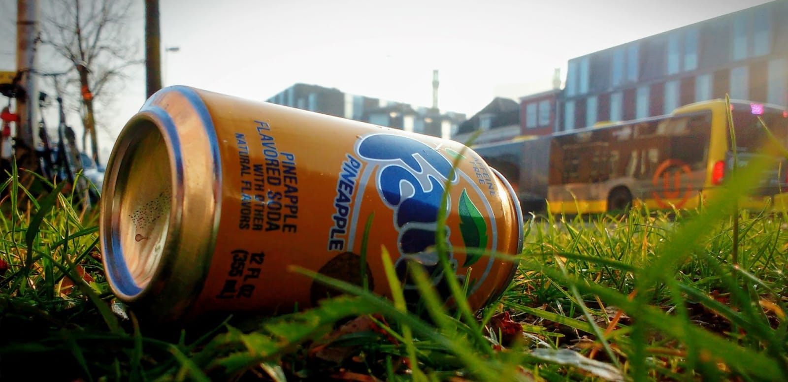 Sandra Westgeest, Panorpidae, 2023