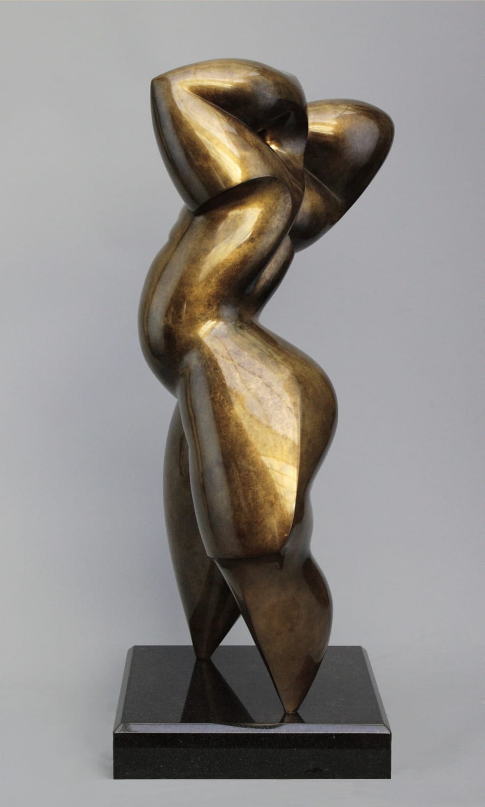 Dominique Pollès, YPSIBIS (2/3), 2010/2022