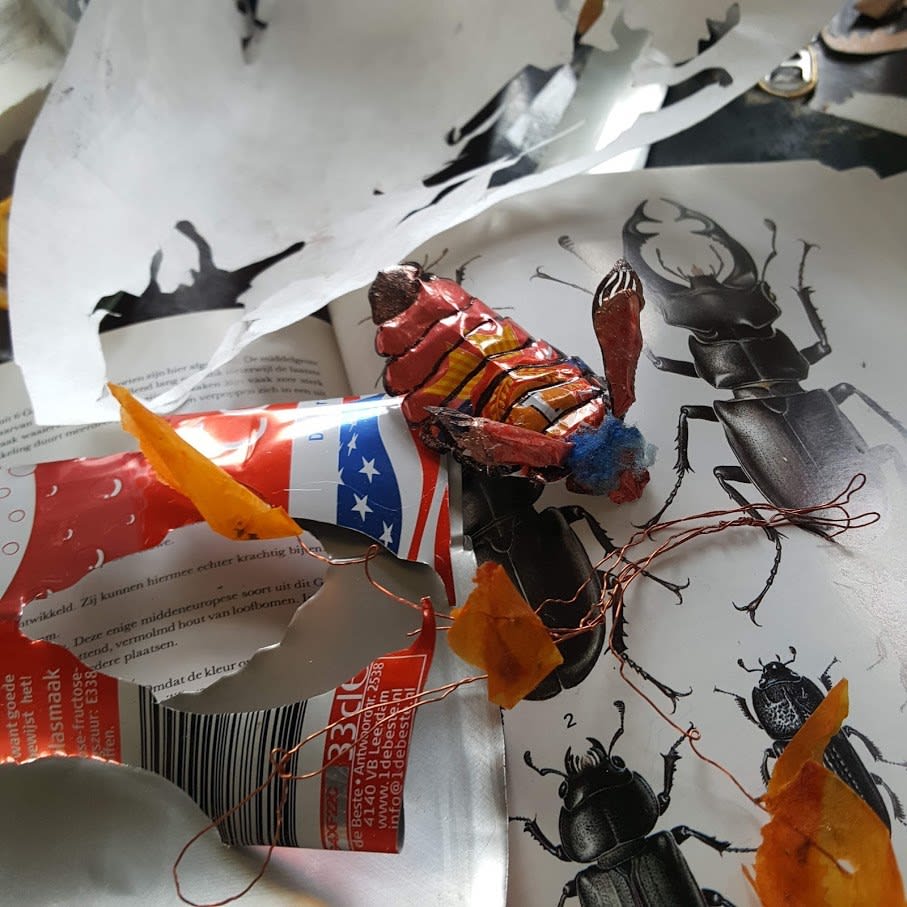 Sandra Westgeest, Panorpidae, 2023