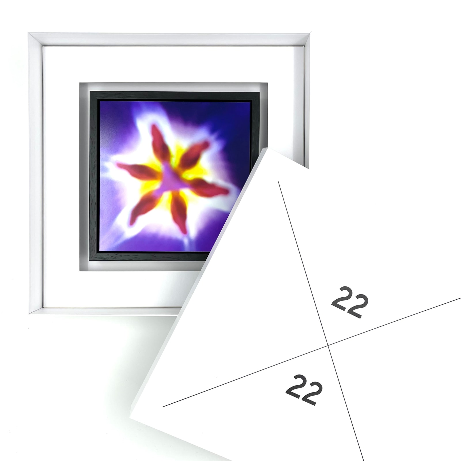 Richard Hutten, Tulipmania II