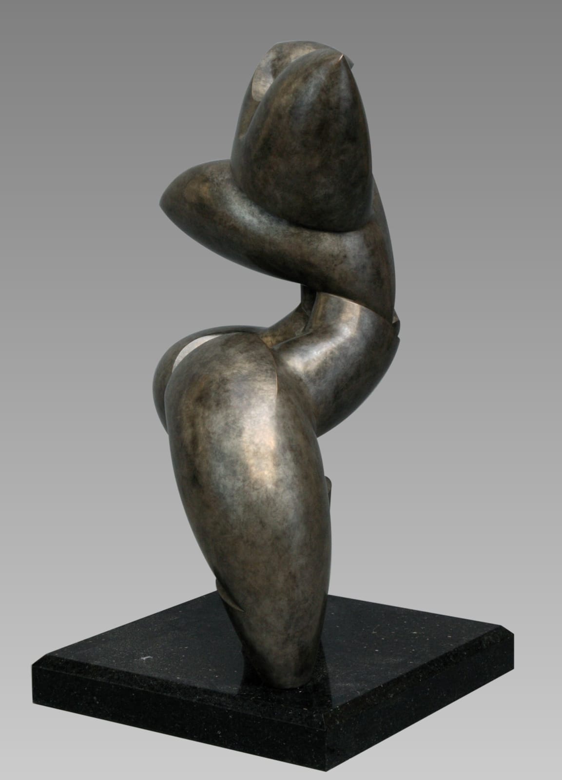 Dominique Pollès, LA CANOPÉE (3/4), 1996/2008