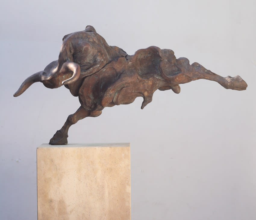 Paul Ceulemans, Toro III