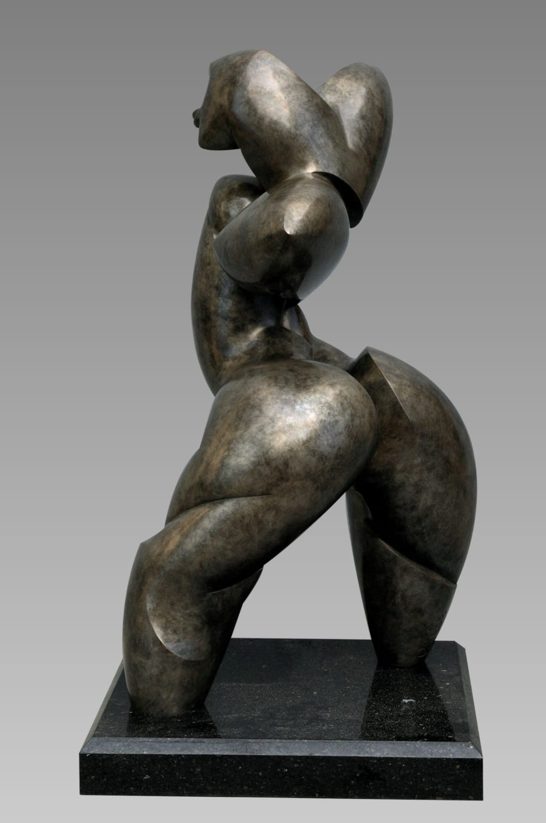 Dominique Pollès, LA CANOPÉE (3/4), 1996/2008