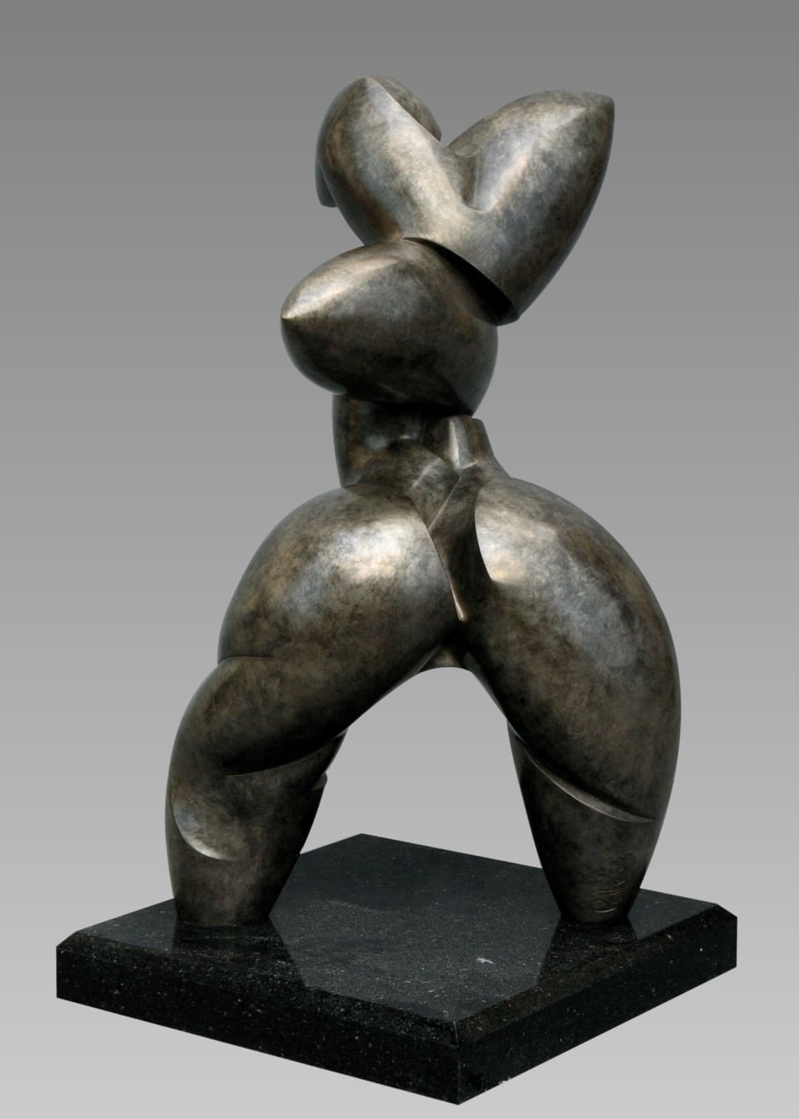 Dominique Pollès, LA CANOPÉE (3/4), 1996/2008
