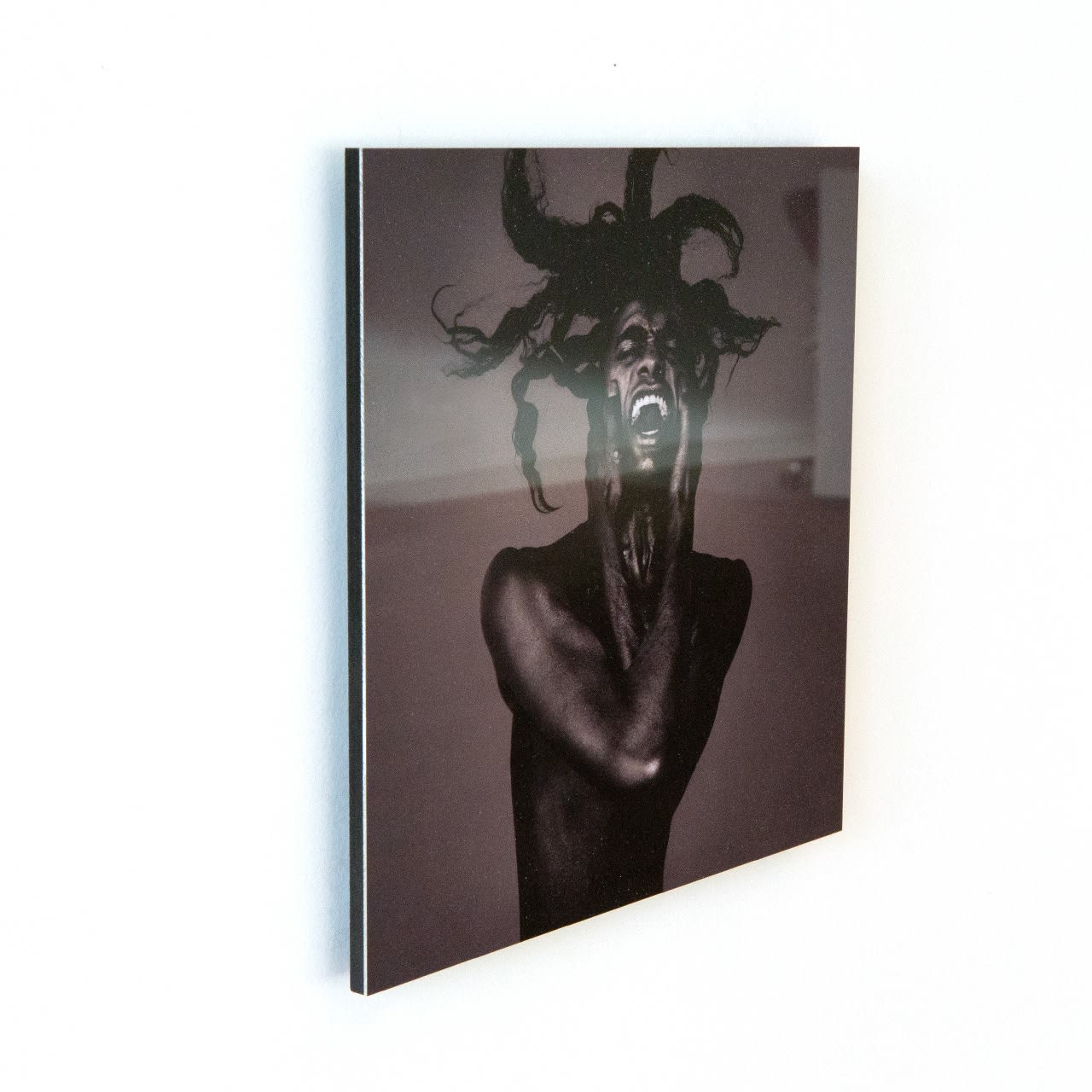 Krijn van Noordwijk, Shout