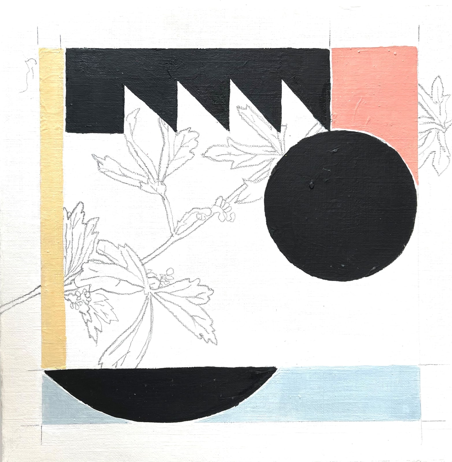 Stief Desmet, Aconite, 2020