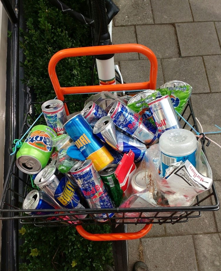 Sandra Westgeest, Panorpidae, 2023