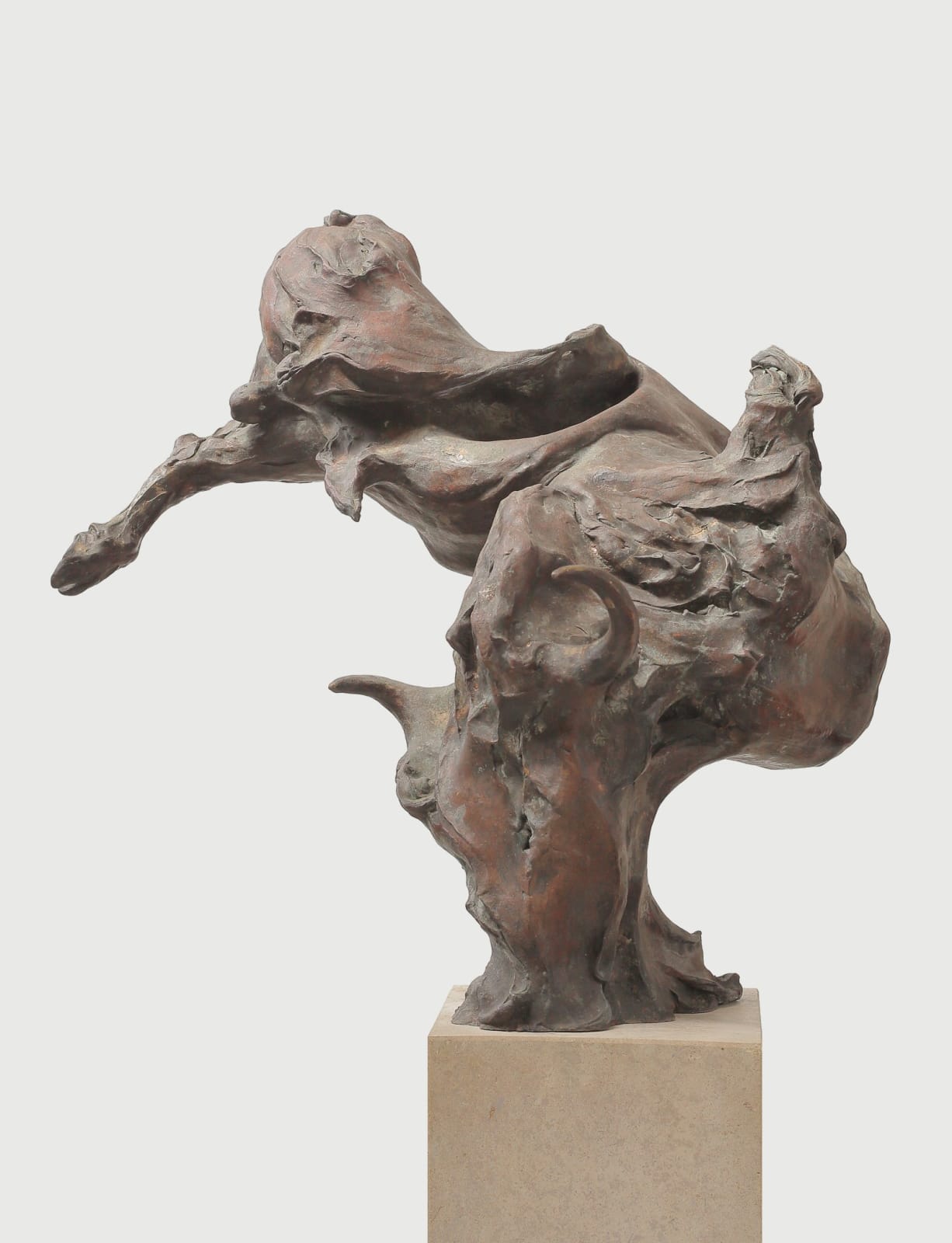 Paul Ceulemans, Toro II