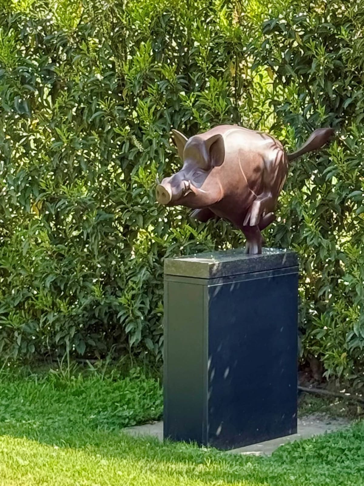 Evert den hartog, Everzwijn 8/8