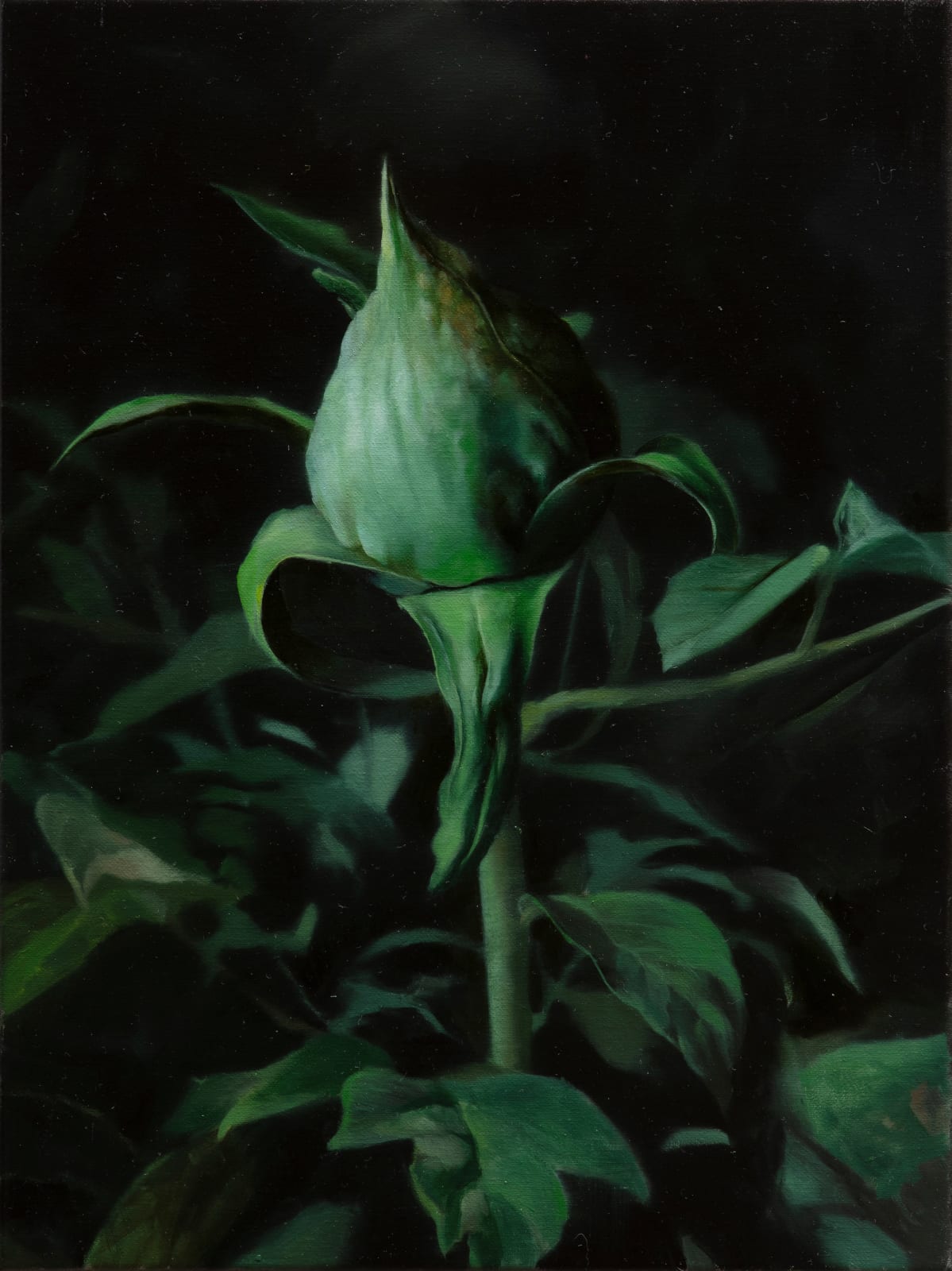 Markus Åkesson, The Beginning (Peony Bud), 2024