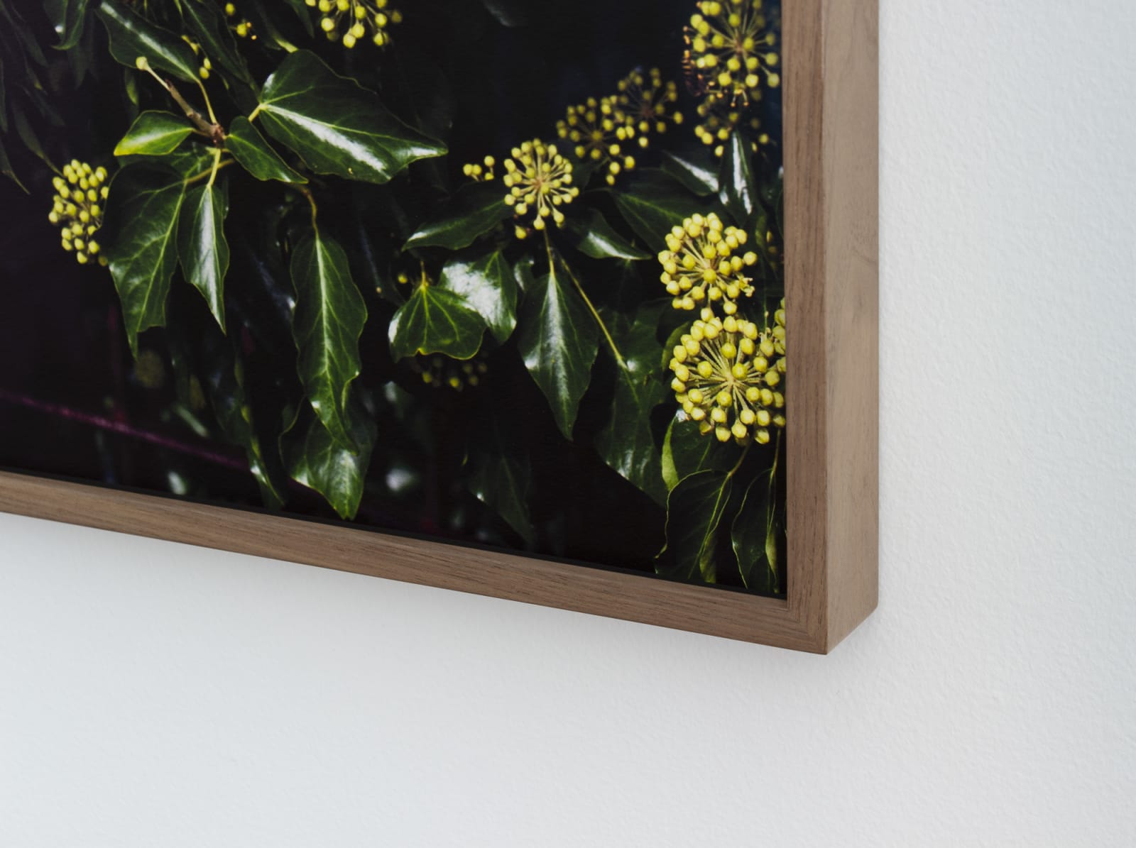 Judith Stenneken, Untitled #28, 2010