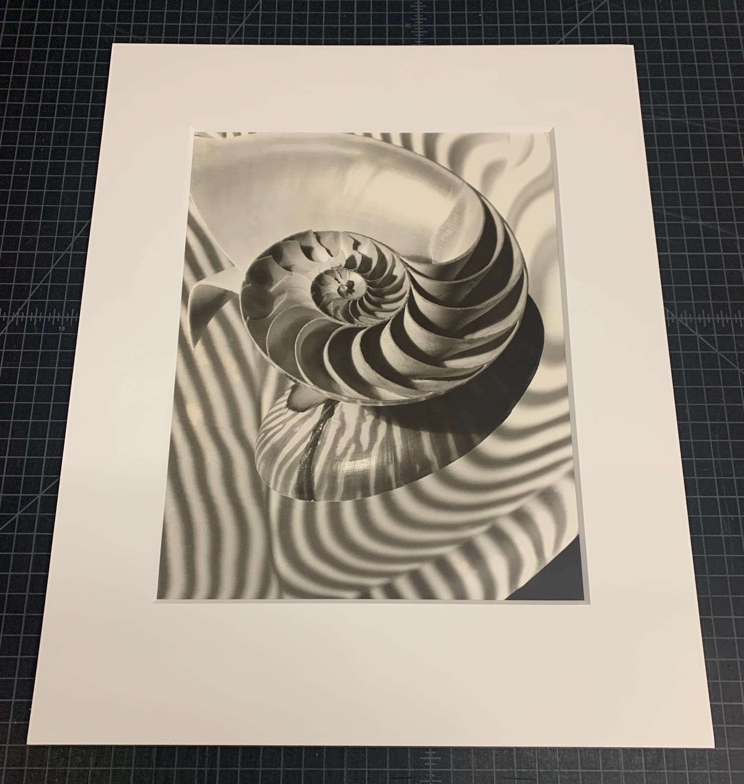 Carlotta Corpron, Nautilus and Concave Mirror, 1946