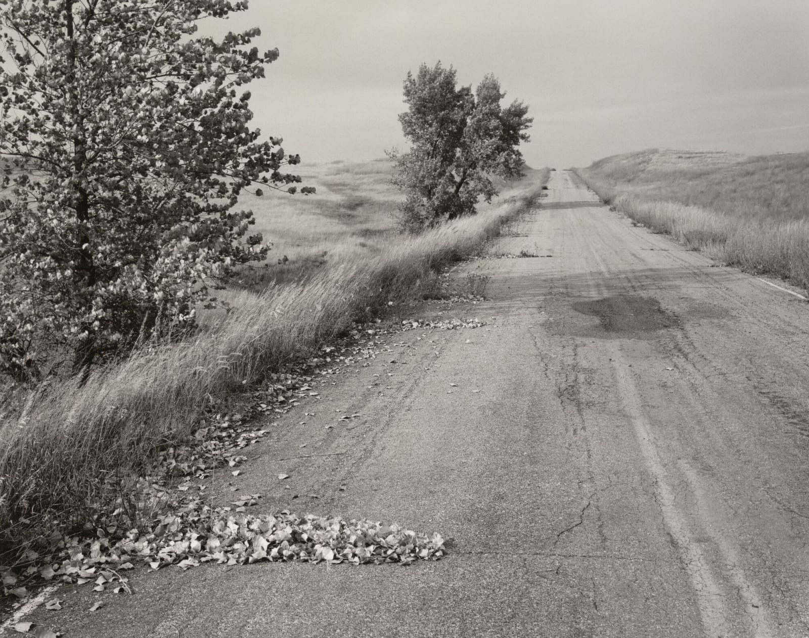 Robert Adams Nebraska State Highway 2 Box Butte County Nebraska
