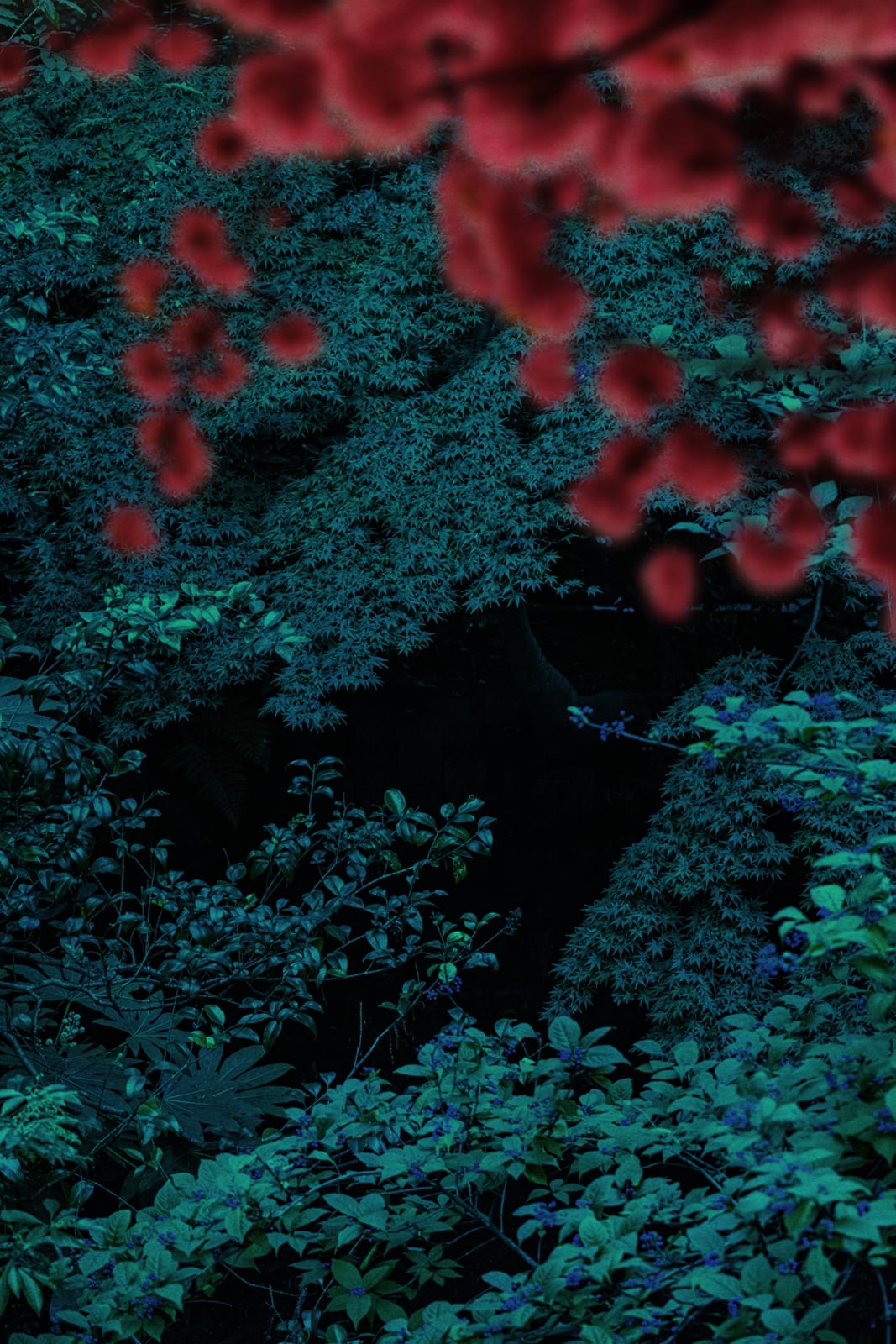 Albarrán Cabrera, The Mouth of Krishna #882, 2023