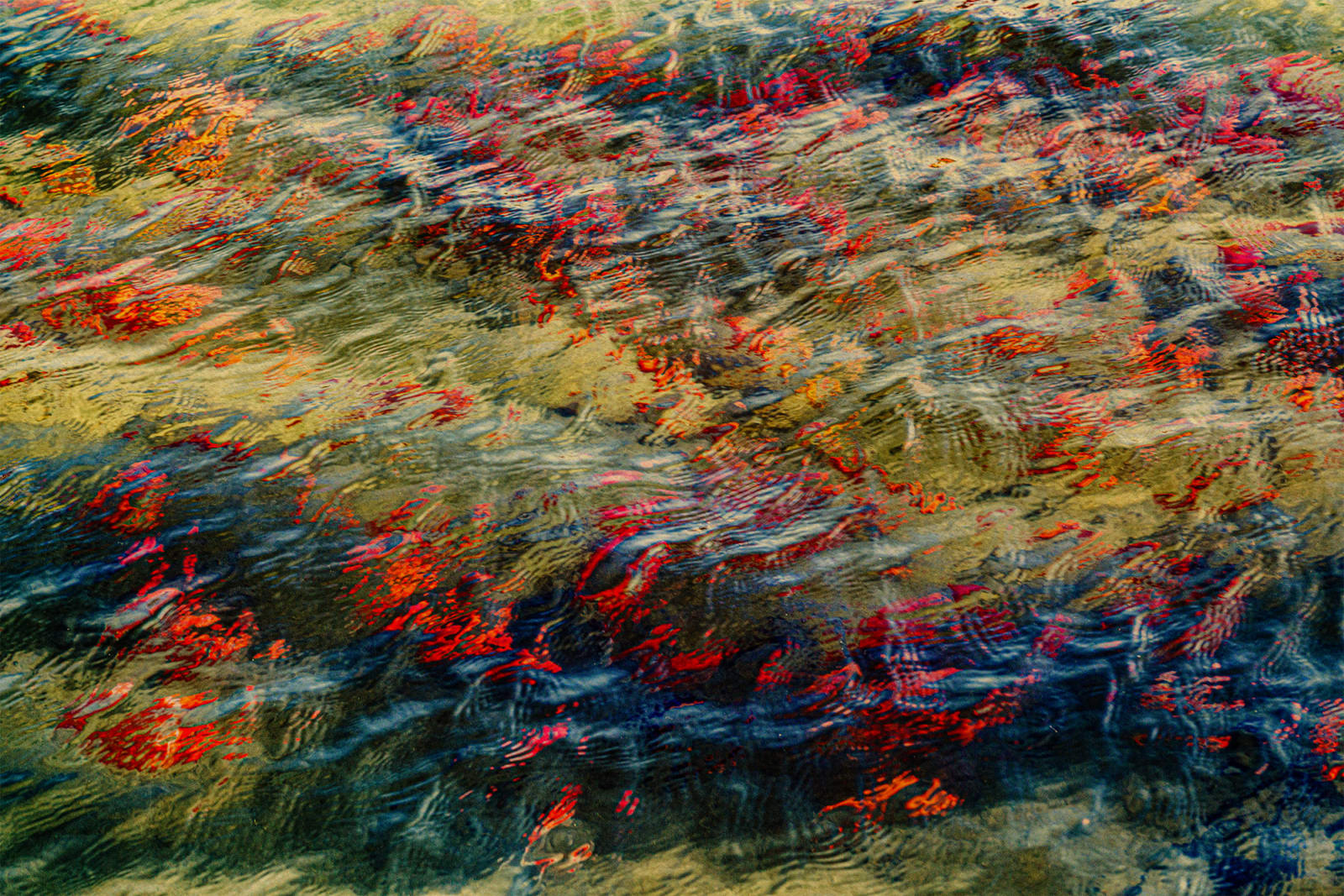 Albarrán Cabrera, The Mouth of Krishna #60606, 2016