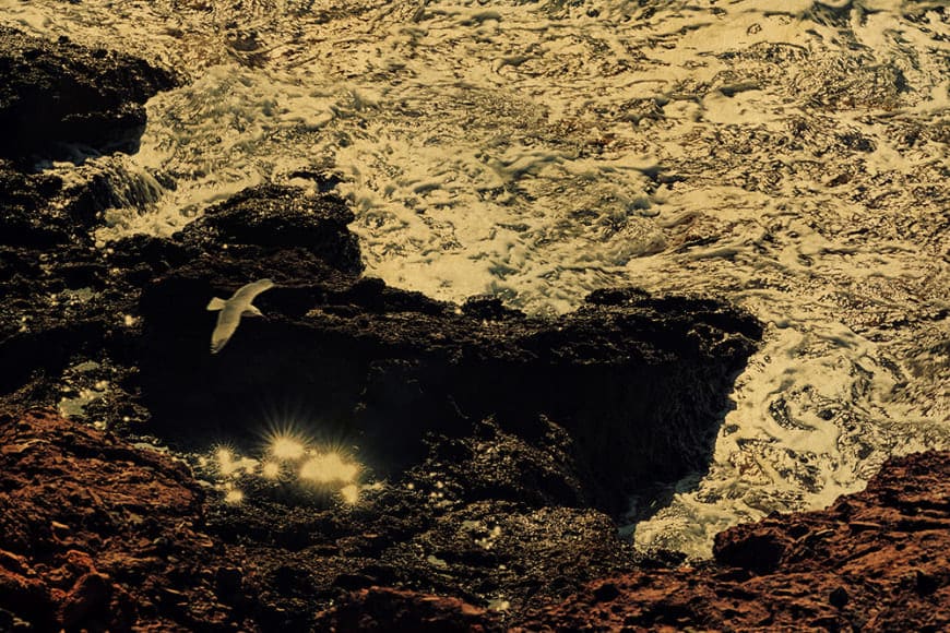 Albarrán Cabrera, The Mouth of Krishna #853, 2019