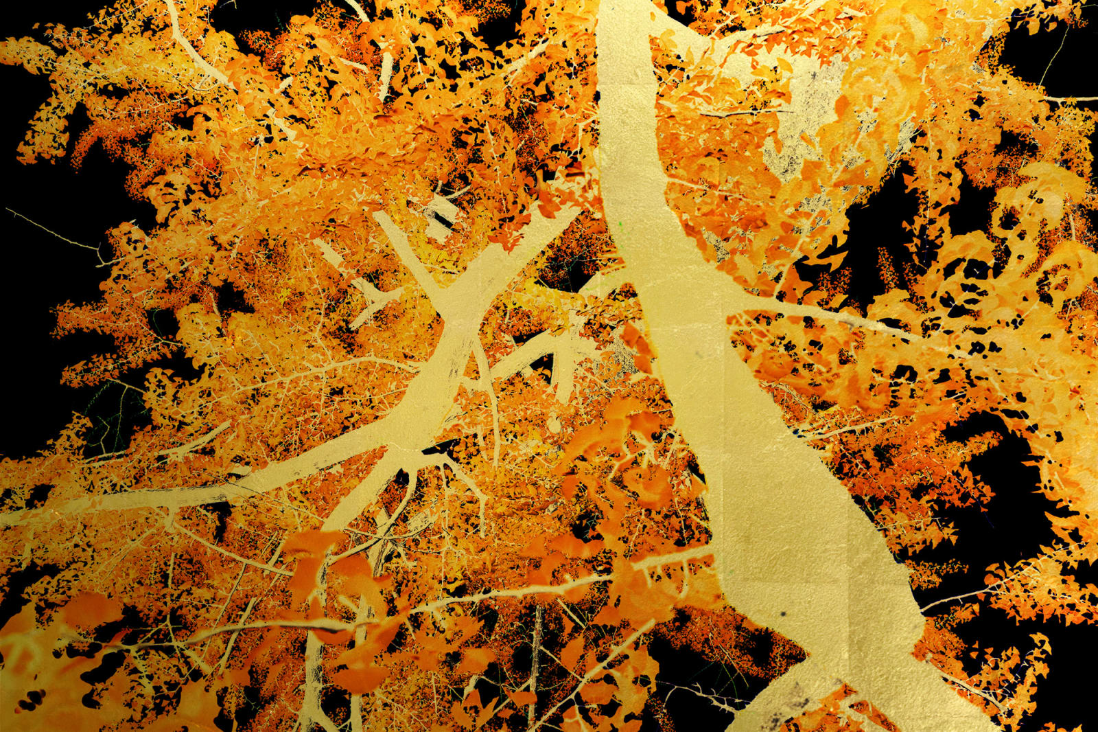 Albarrán Cabrera, The Indestructible #70013, 2025