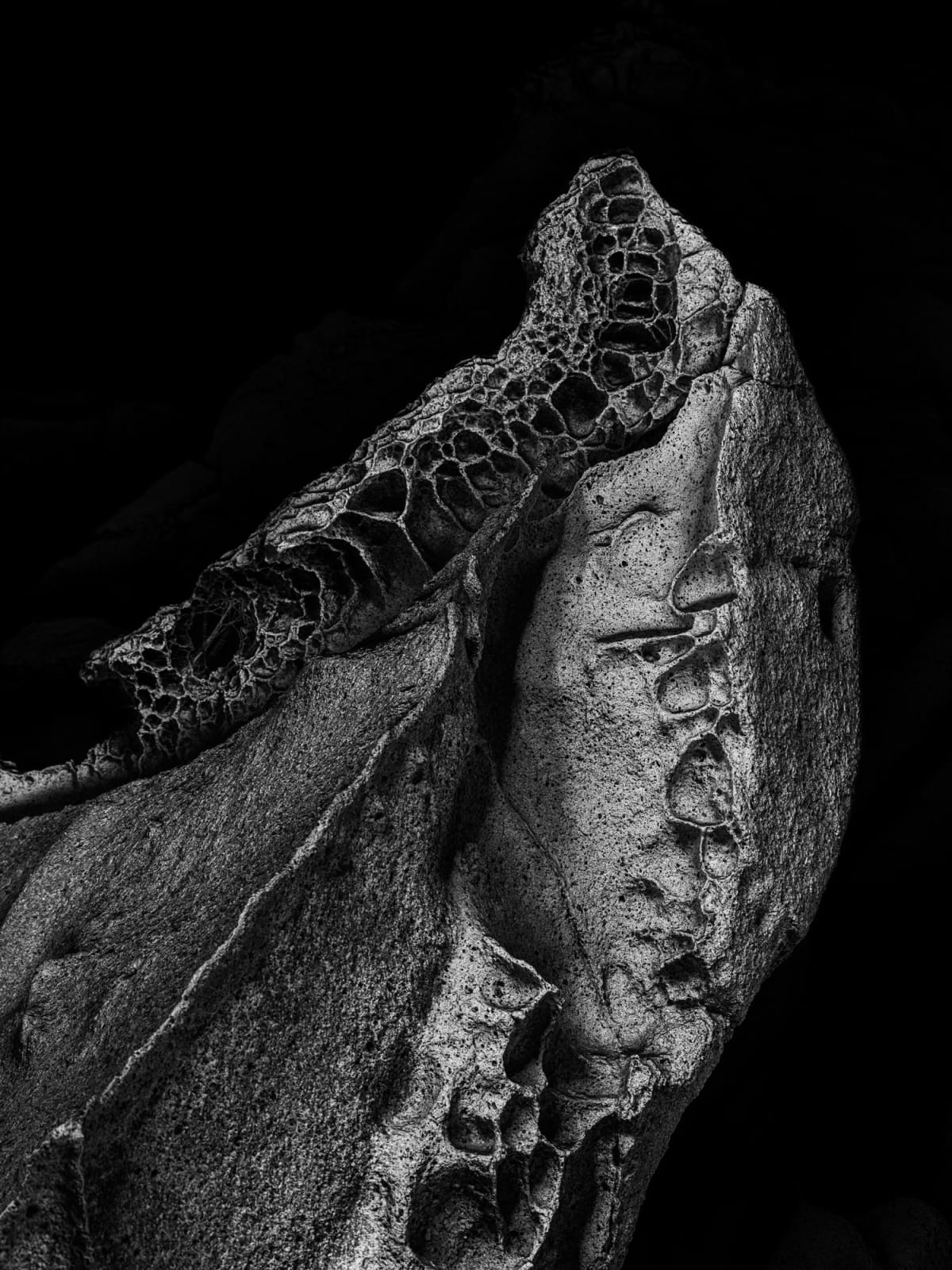 Cody Cobb, Effigy 4, 2023