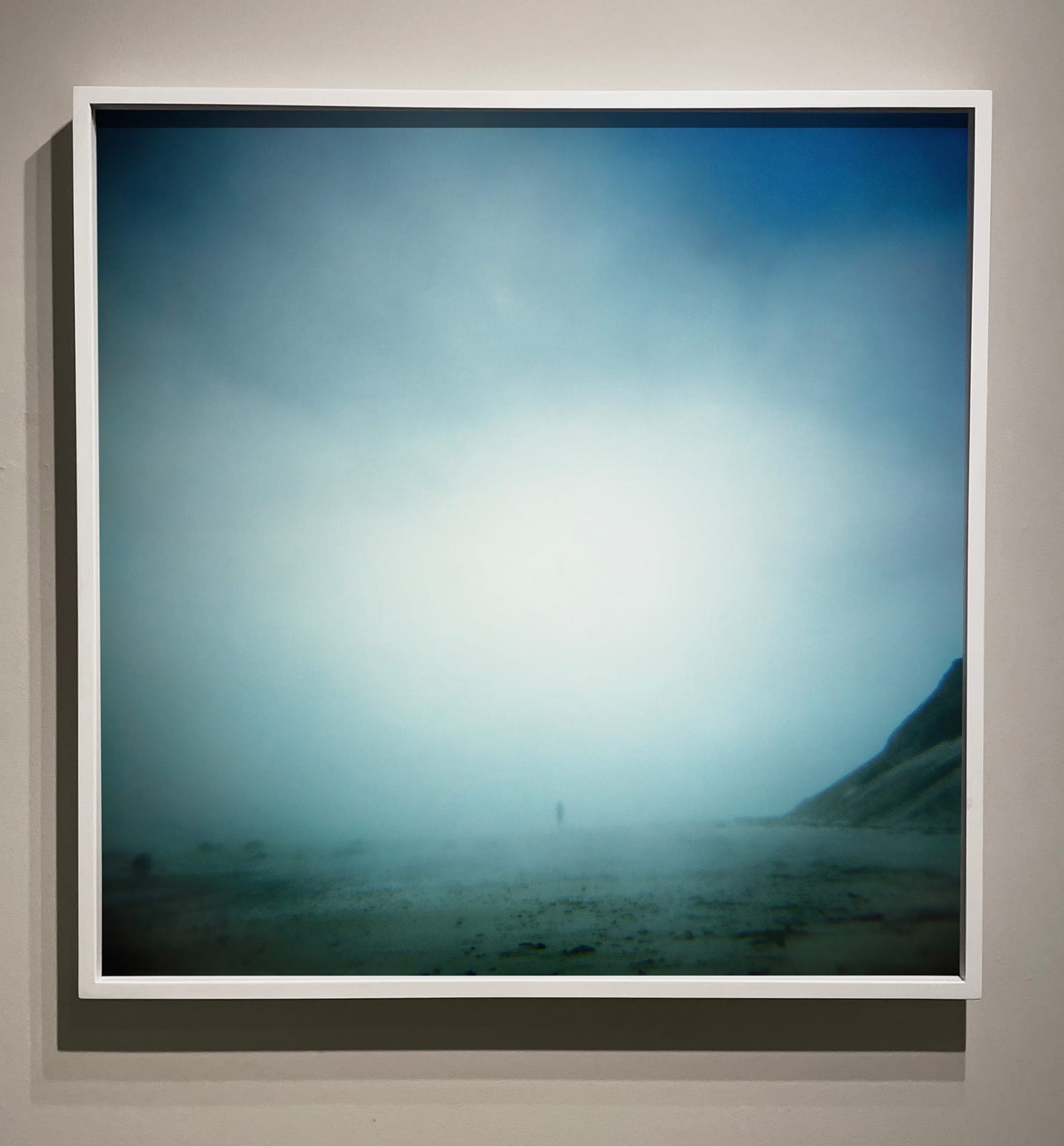 Liza Ryan, Untitled (walking), 2011