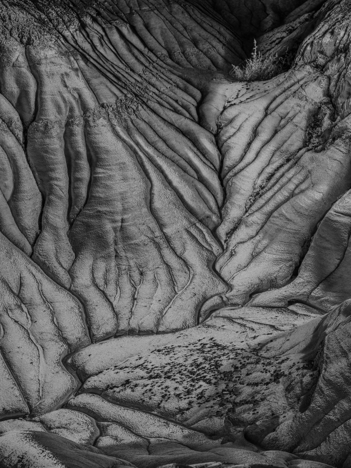 Cody Cobb, Effigy 14, 2023