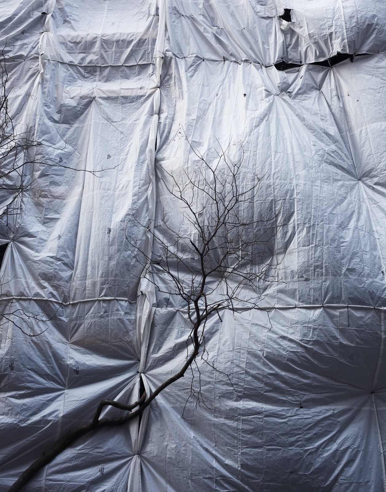 Judith Stenneken, Untitled #44, 2014