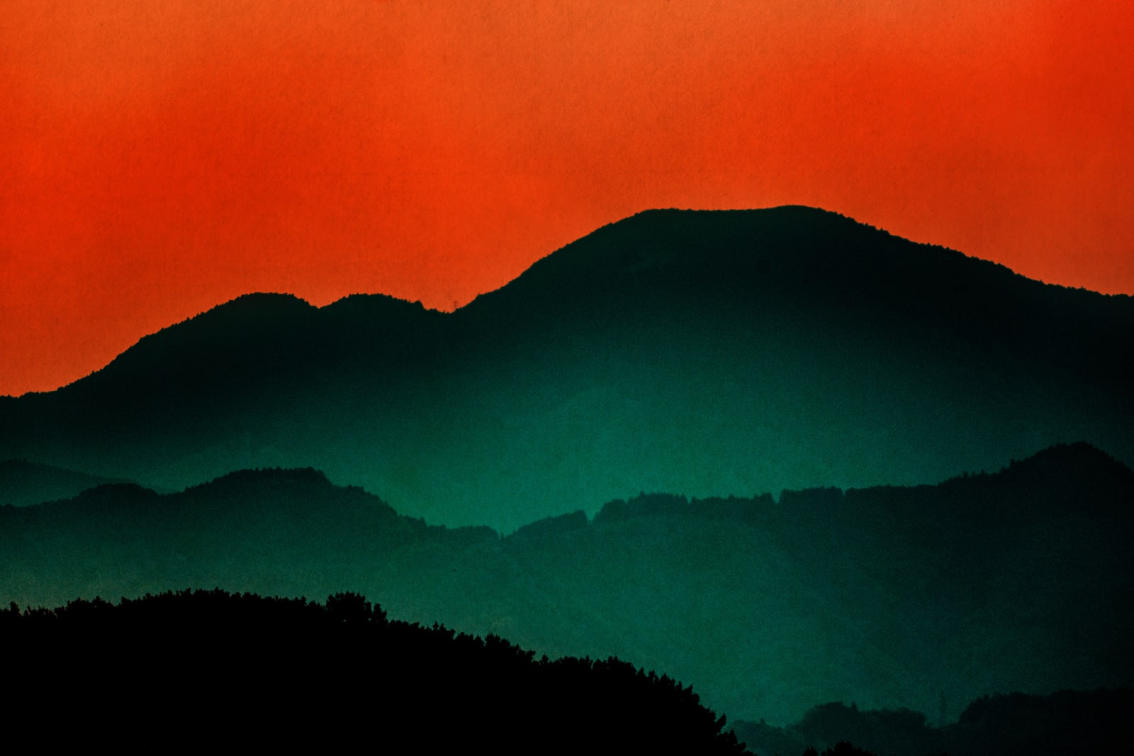 Albarrán Cabrera, Nyx #1021, 2024