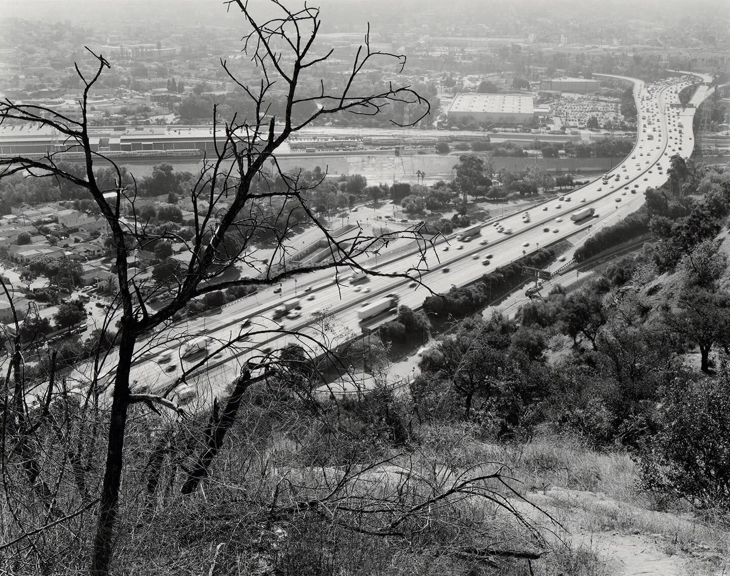 Ryan McIntosh, Overlooking I-5, Elysian Park, Los Angeles, CA, 2021