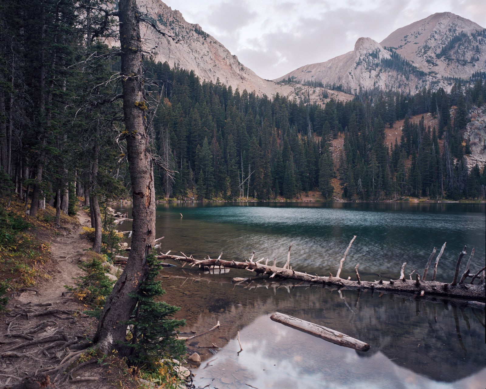 Bryan Schutmaat, Alpine Lake, 2011