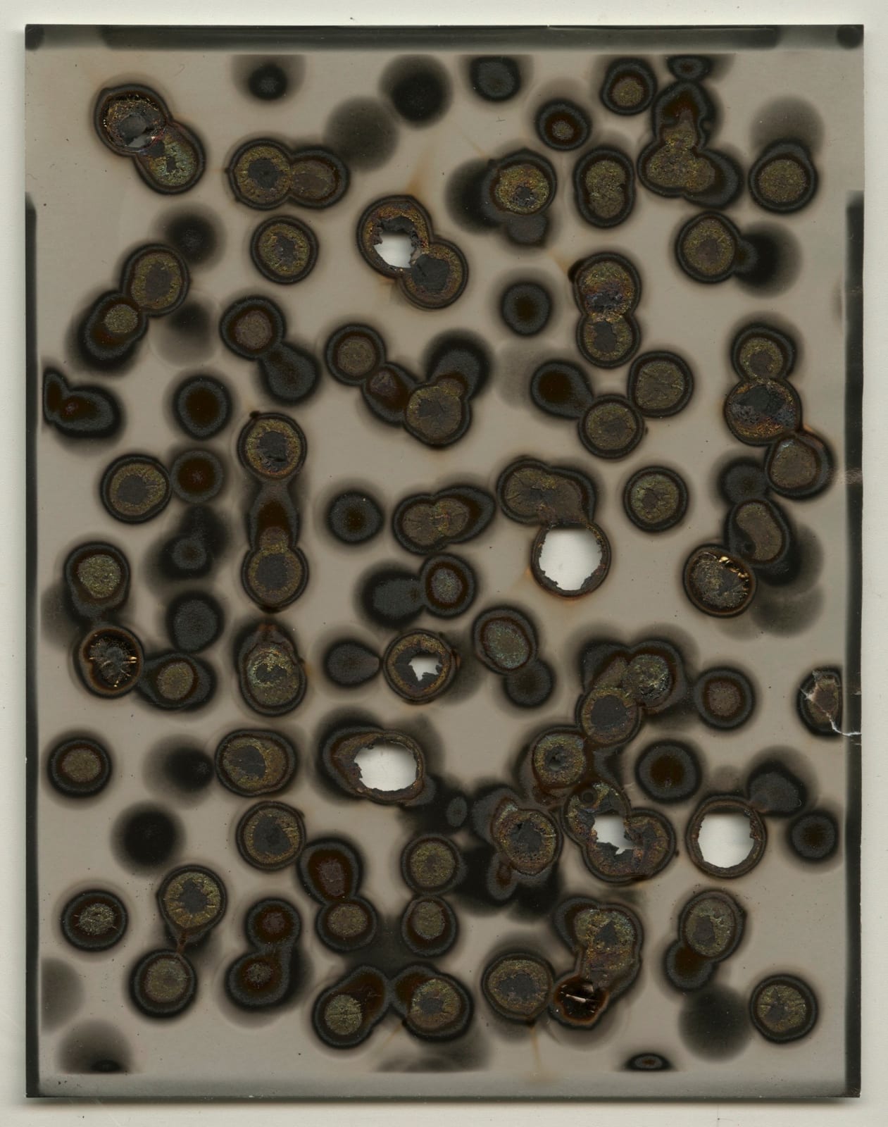 Chris McCaw, Heliograph #42, 2014