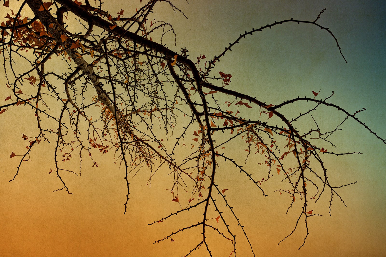 Albarrán Cabrera, The Mouth of Krishna #60220, 2025