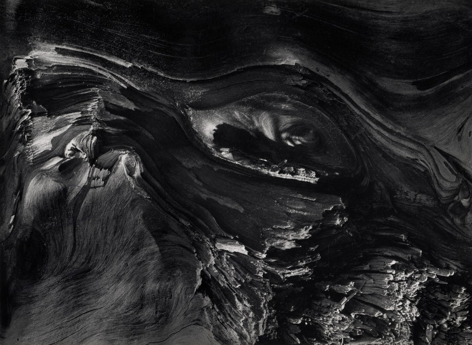 Wynn Bullock, Untitled (Wood), 1972