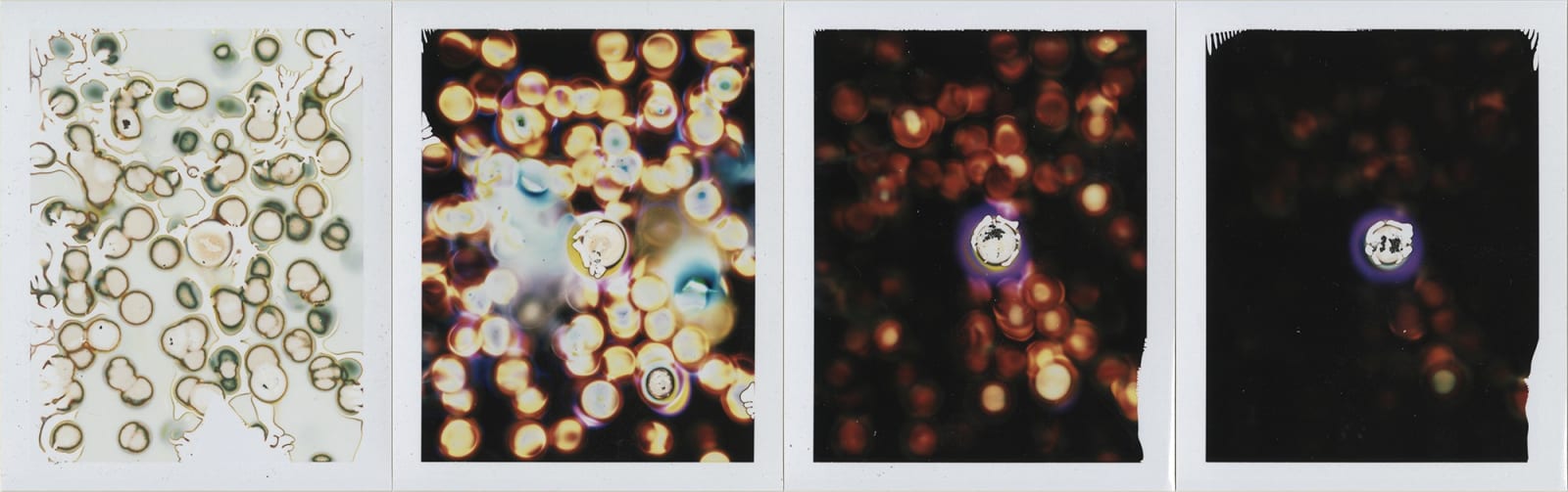 Chris McCaw, Instant #18, 2019