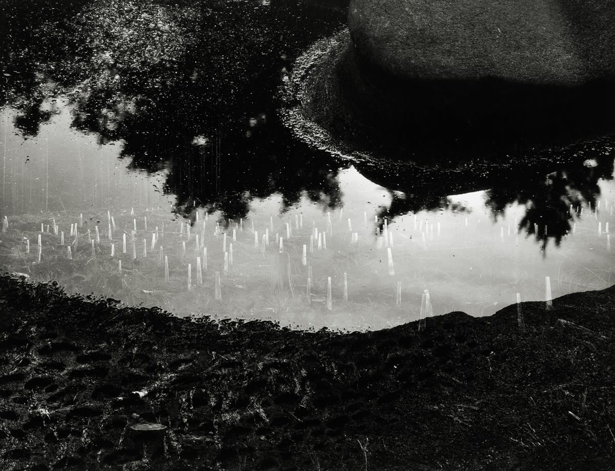 Jakob De Boer, The Earth Never Forgets, Where Ravens Cry #13, 2016