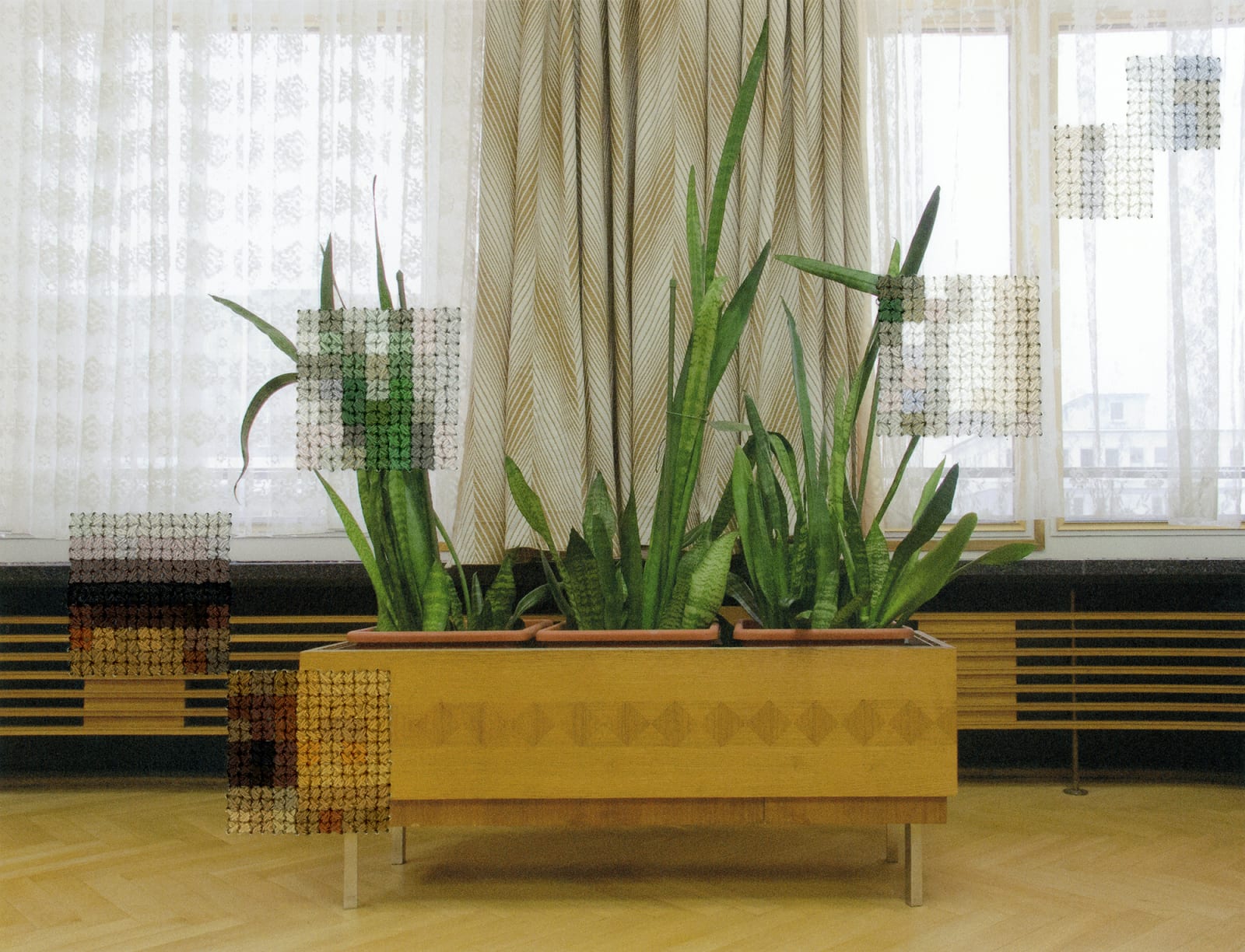 Diane Meyer, Plants, Former Offices of the State Secret Police, 2012