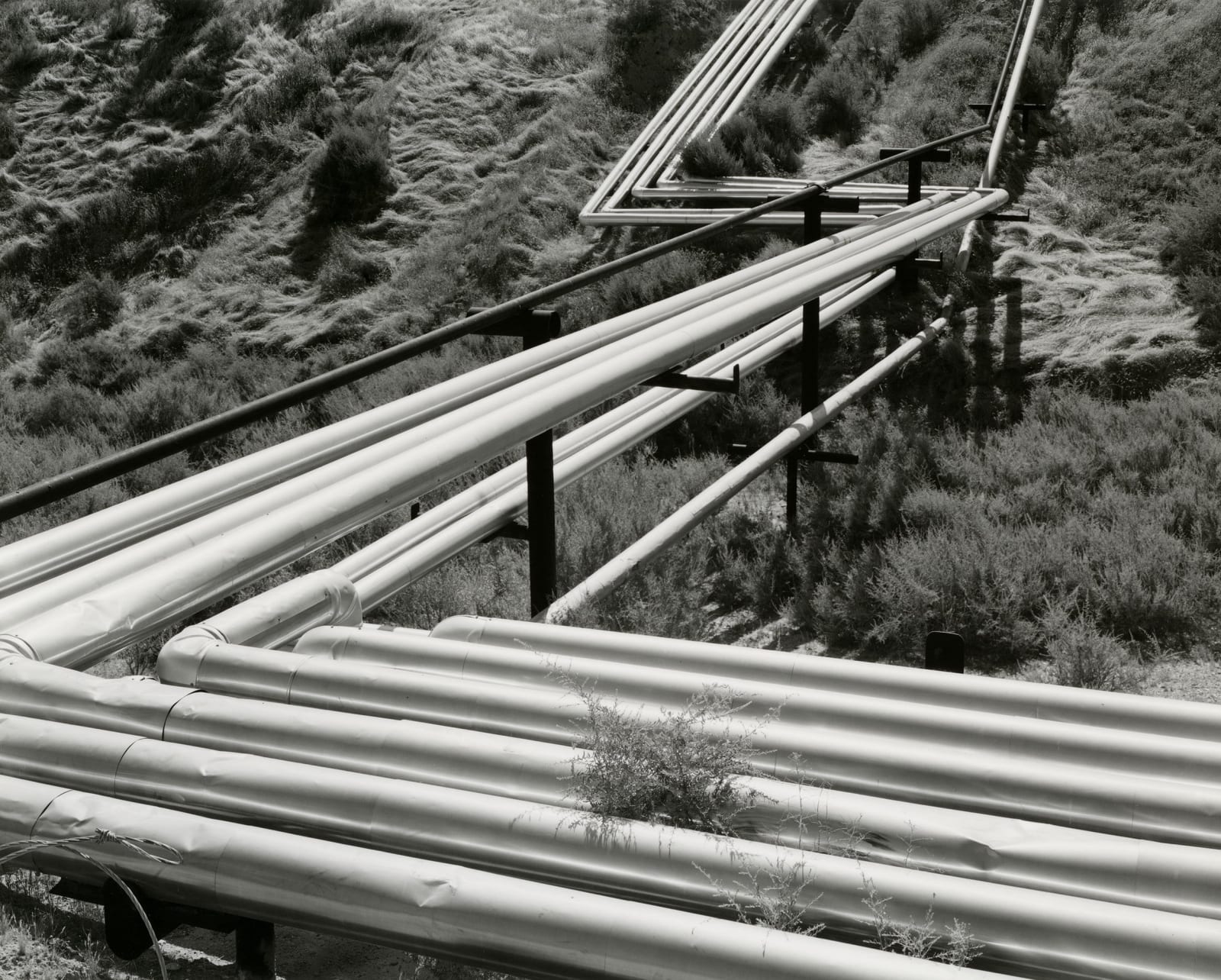 Ryan McIntosh, Oil Pipes, Taft, CA, 2024