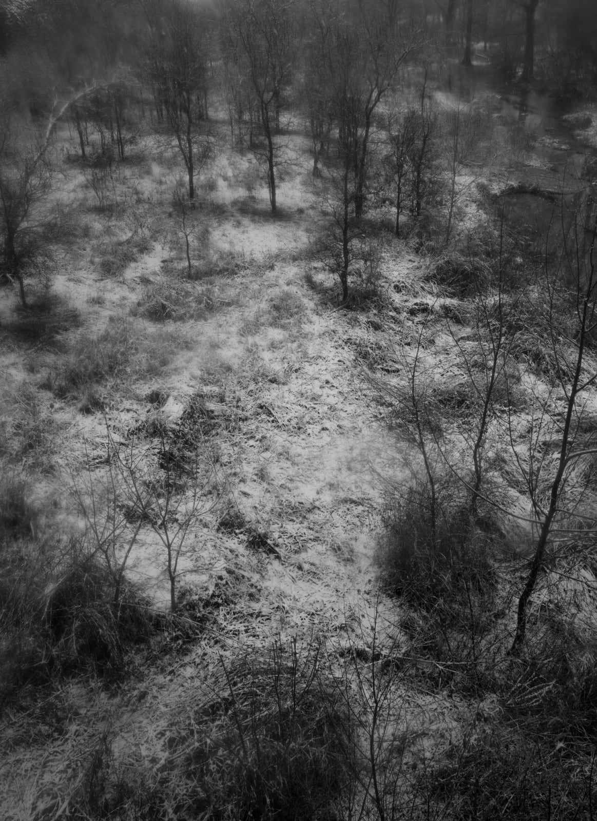 Bryan Schutmaat, Snow, 2021