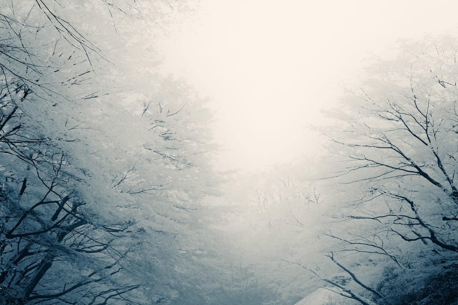 Albarrán Cabrera, The Mouth of Krishna, #175, Tokyo, Japan, 2013