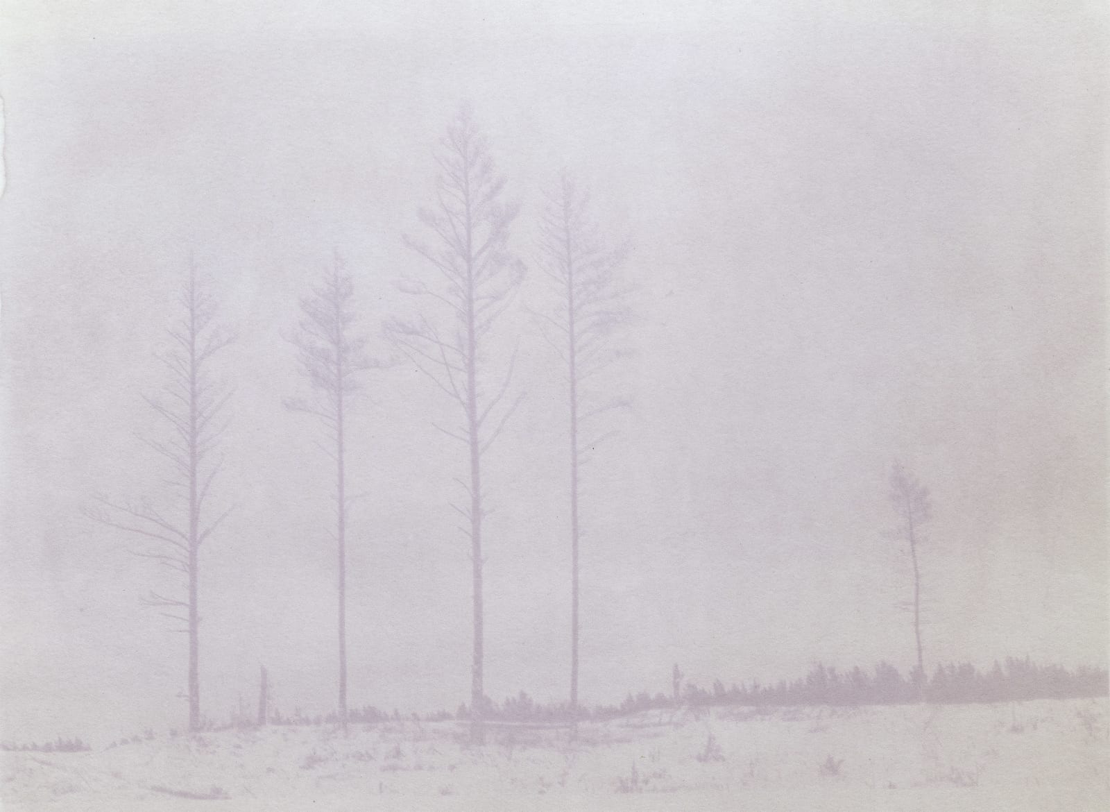 Krista Svalbonas, Partisan 4, 2025