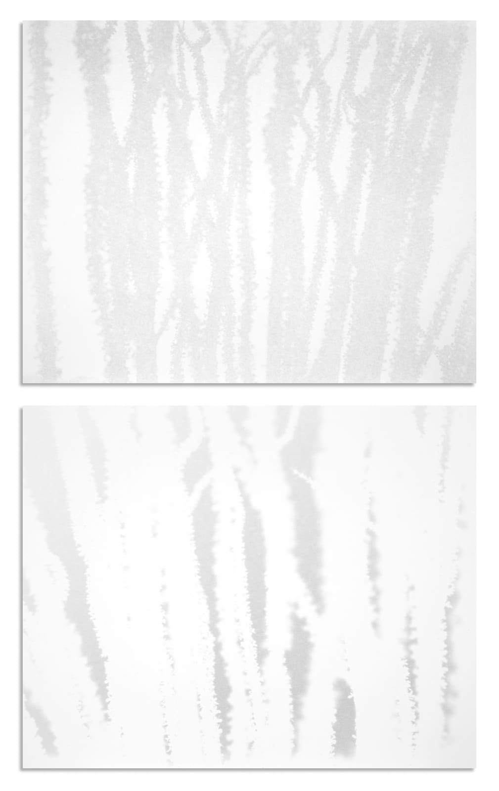 scott b. davis, winter ocotillo, 2020