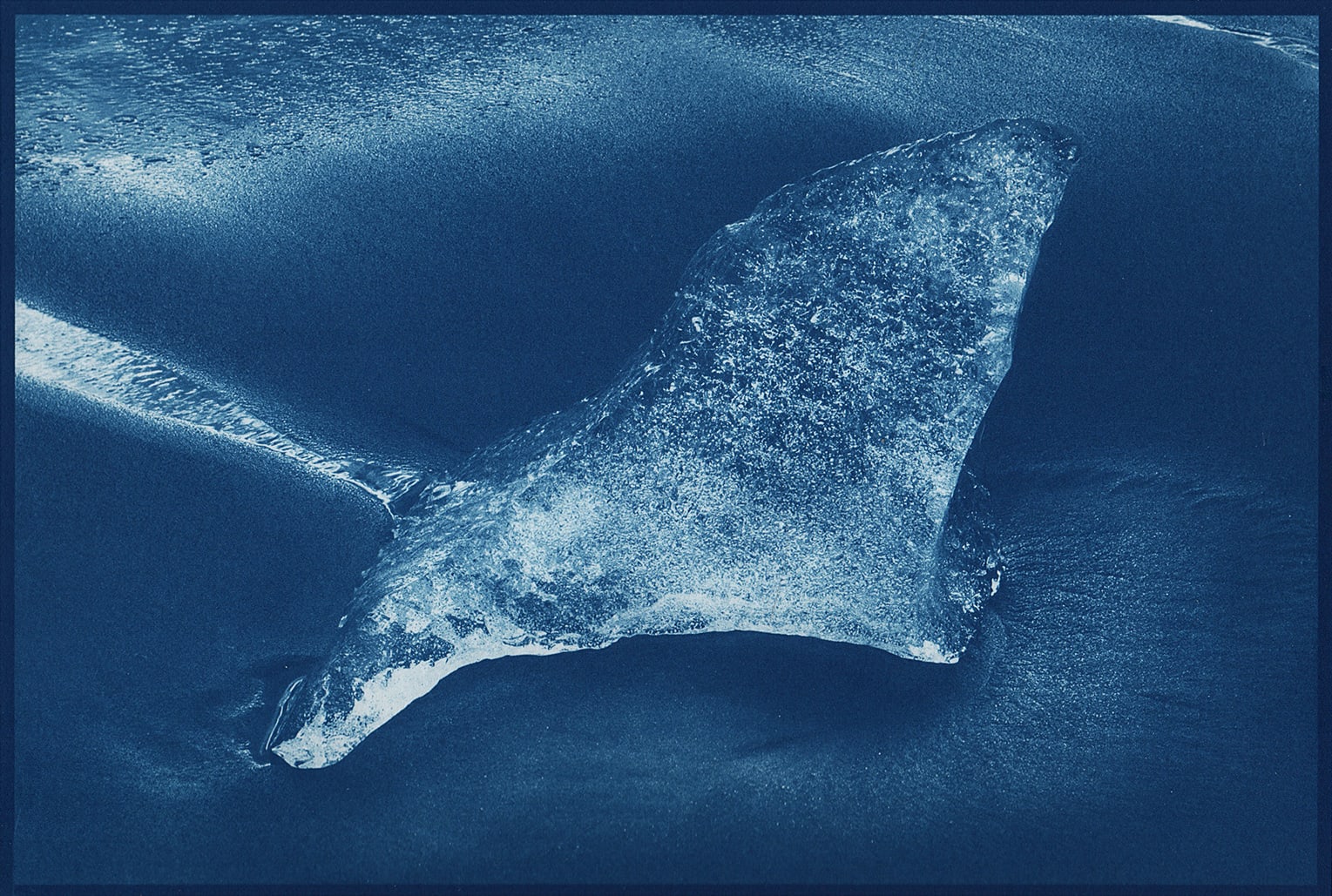 Ryan McIntosh, Jökulsárlón, Iceland, 2017