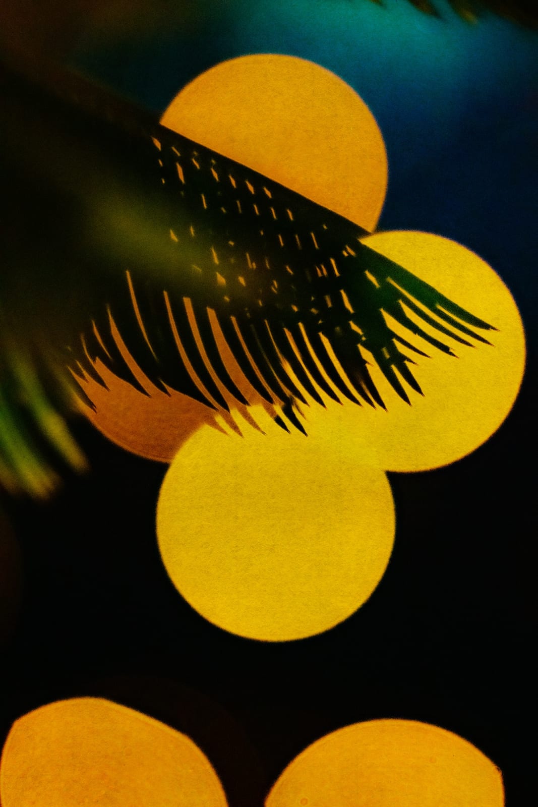 Albarrán Cabrera, The Mouth of Krishna, #904, 2022