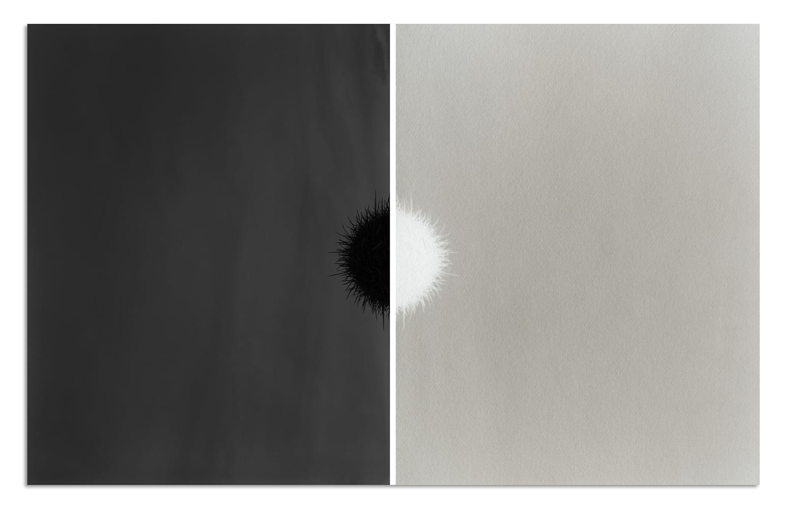 scott b. davis, sphere (i), 2018