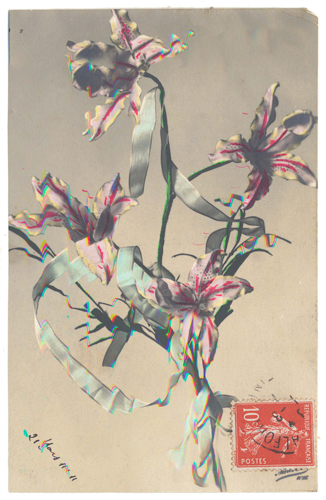 Rachel Phillips, Twinned Lillies, 2024