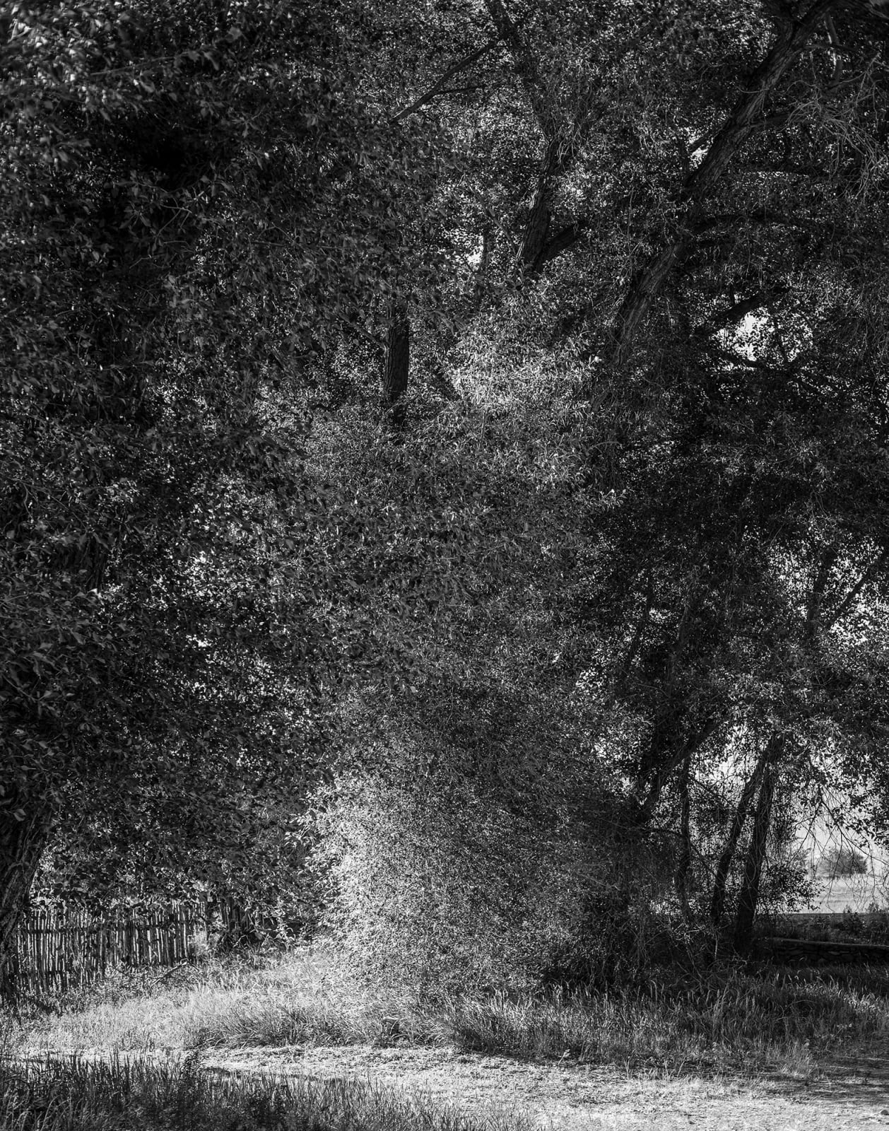 Judith Stenneken, Untitled #17, 2012